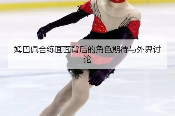 mu-ba-pei-he-lian-hua-mian-bei-hou-de-jue-se-qi-dai-yu-wai-jie-tao-lun-2-845.jpg