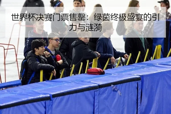 世界杯决赛门票售罄：绿茵终极盛宴的引力与涟漪